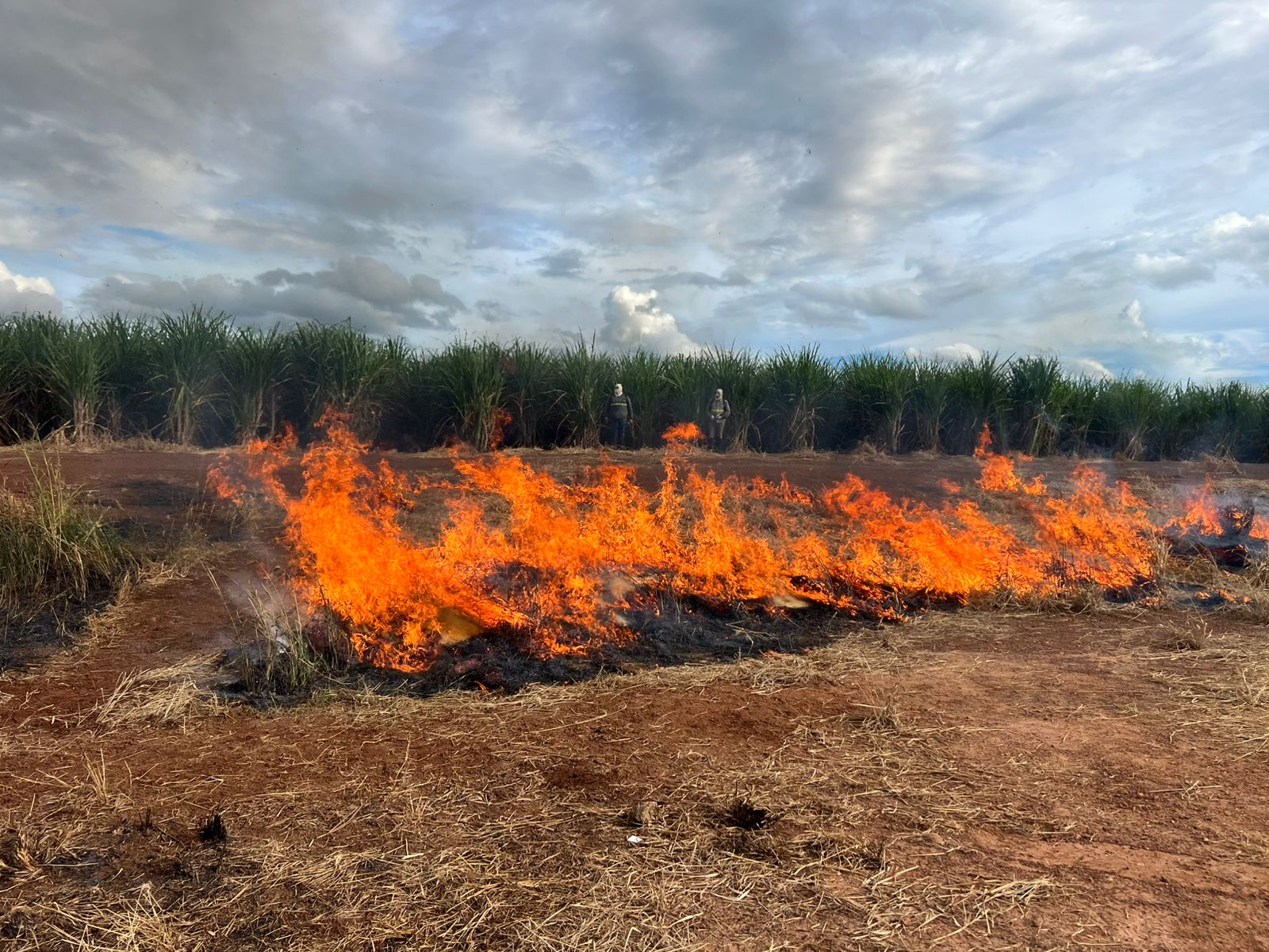 WhatsApp Image 2025-05-26 at 08.20.37 (1)